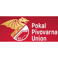Pokal Slovenije