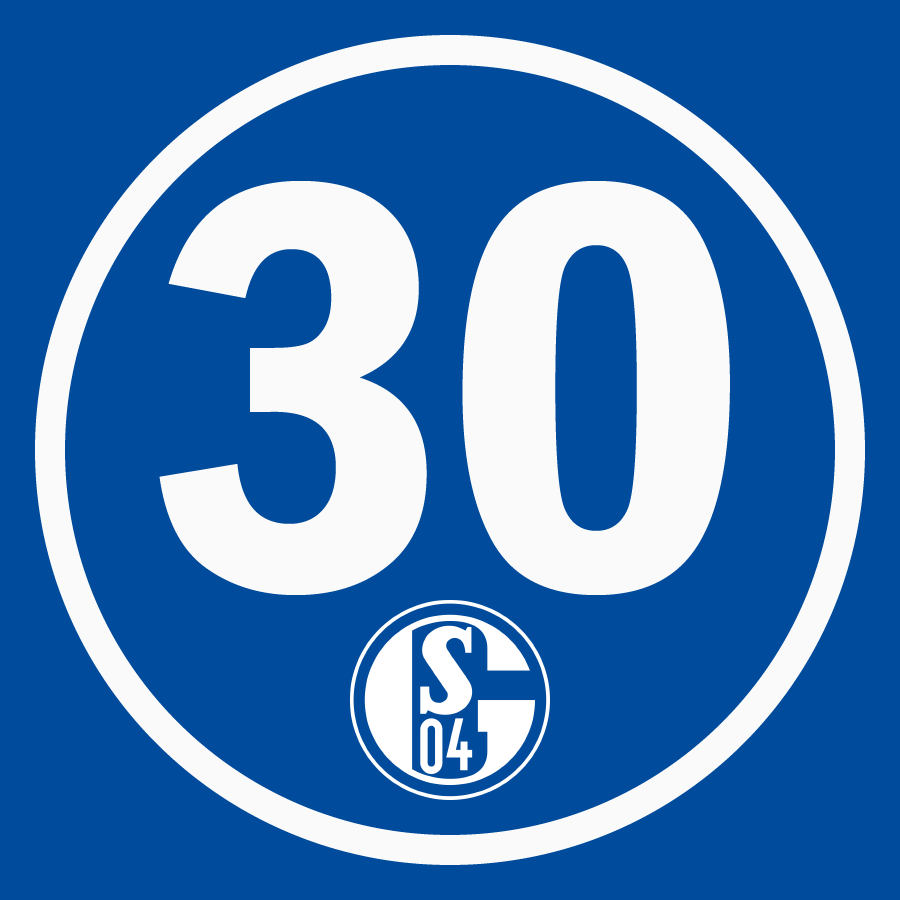 30 raka utan vinst för Schalke 04