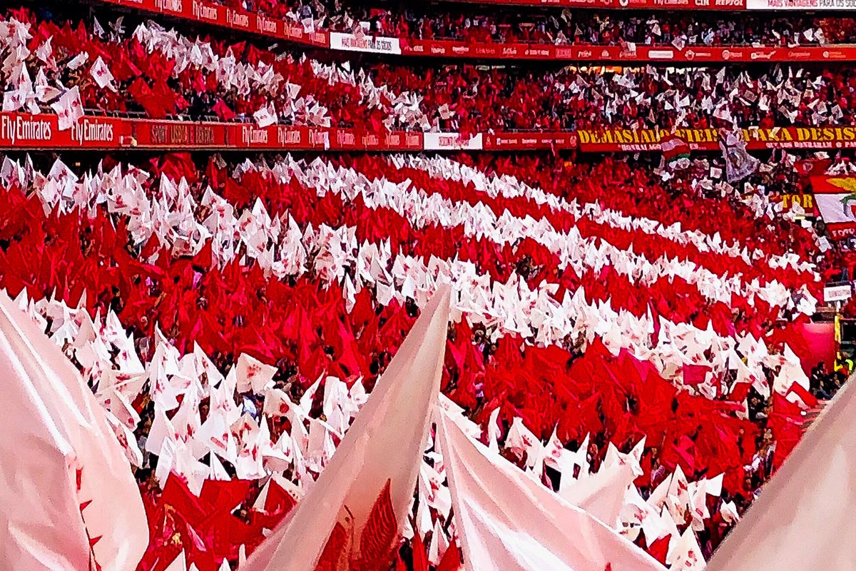 fotboll, benfica