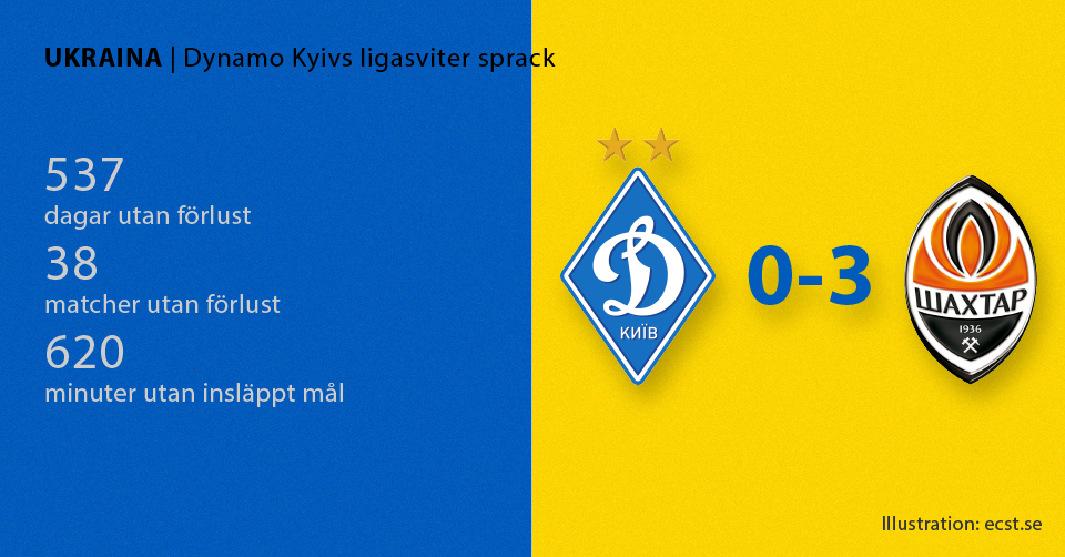 Dynamo Kyivs sviter