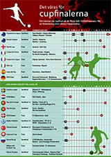 Inforgrafik cupfinaler 2014